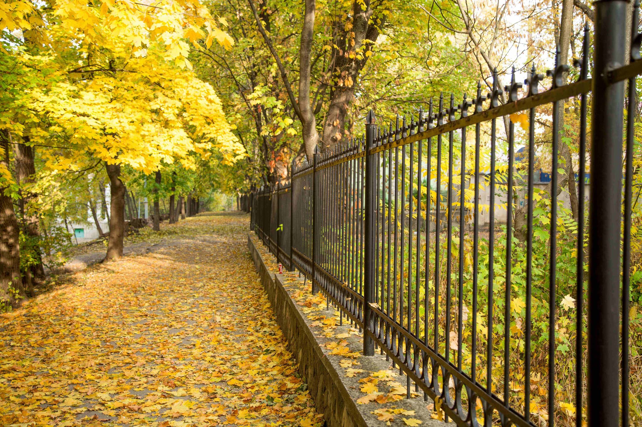 Iron Fence