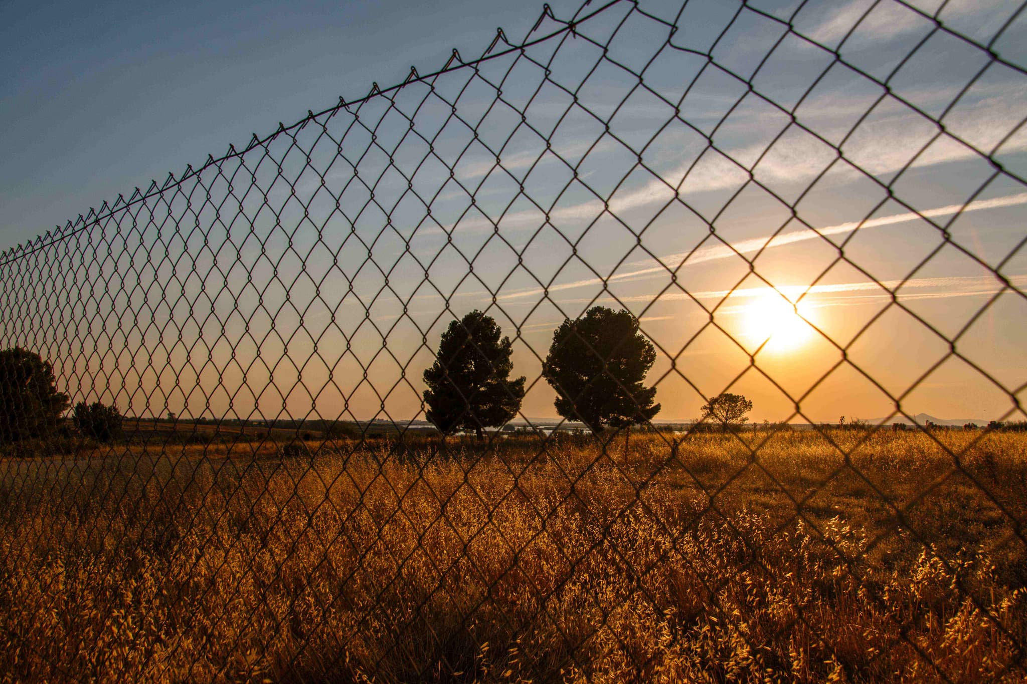 Chain Link Fencing