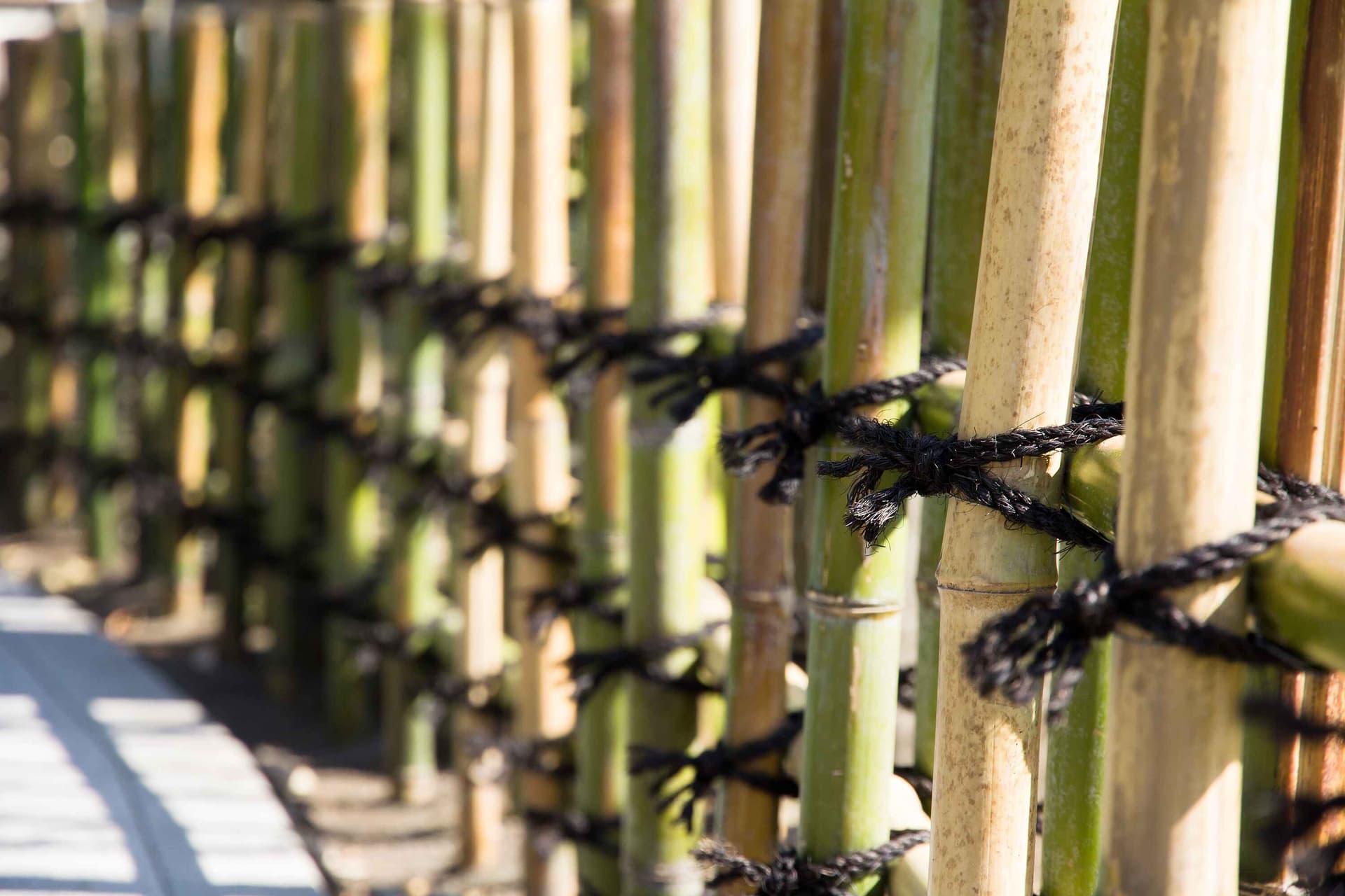 japanese-style-bamboo-fences-in-japan-garden
